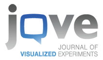 JoVE logo